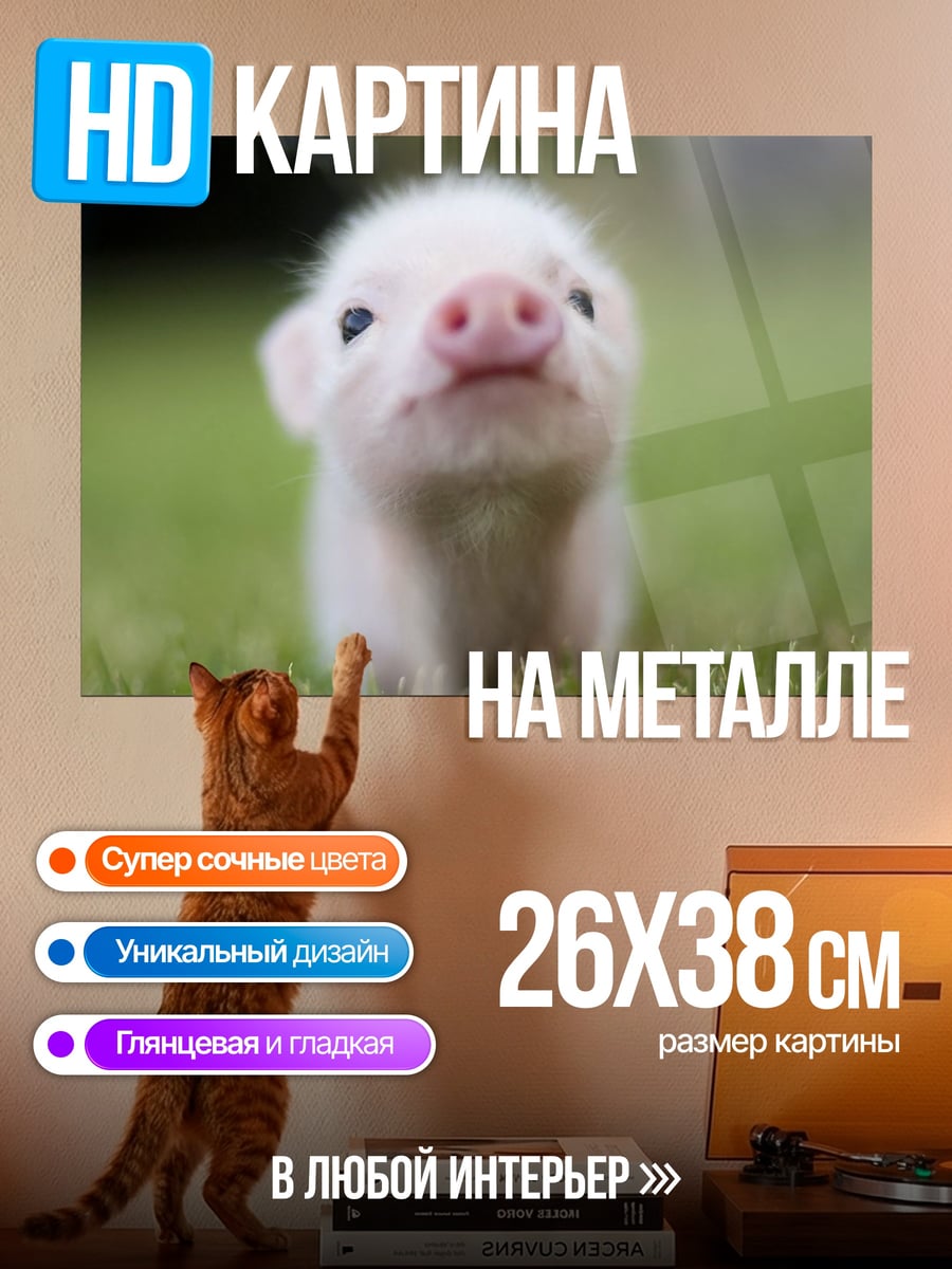 Картина на металле Милый поросенок