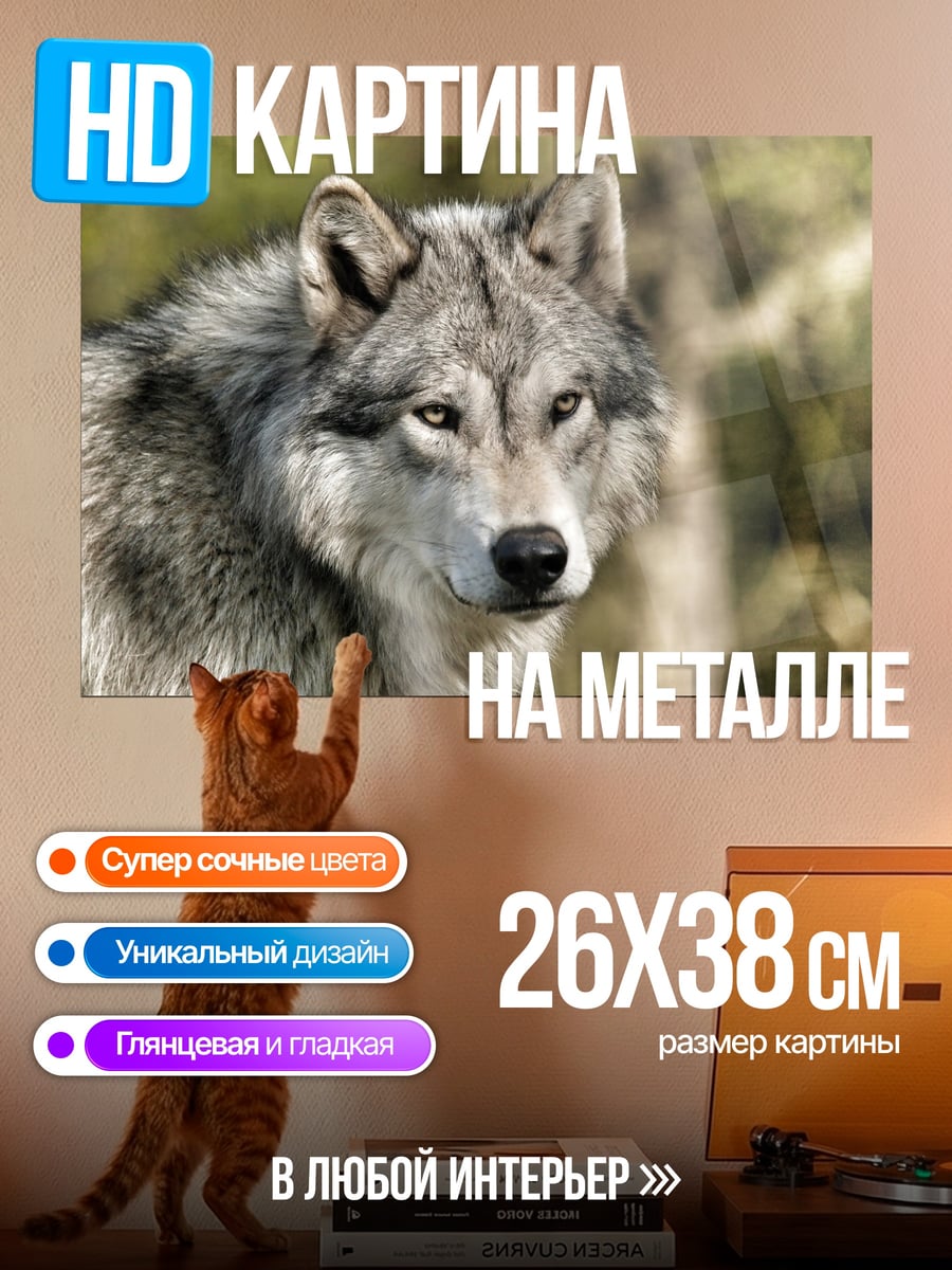 Картина на металле Серый волк