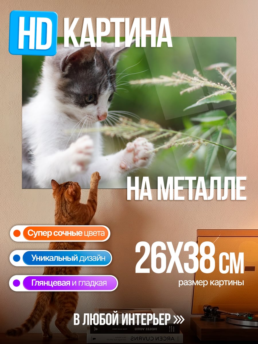 Картина на металле Кот играет