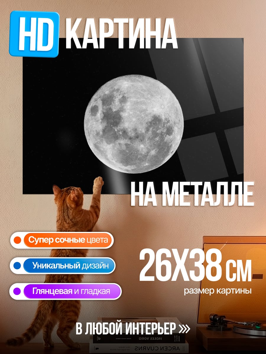 Картина на металле Полная луна