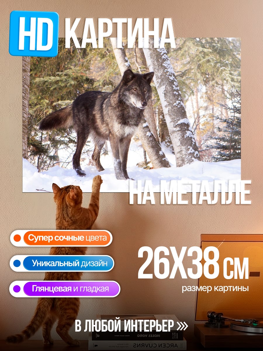 Картина на металле Черный волк