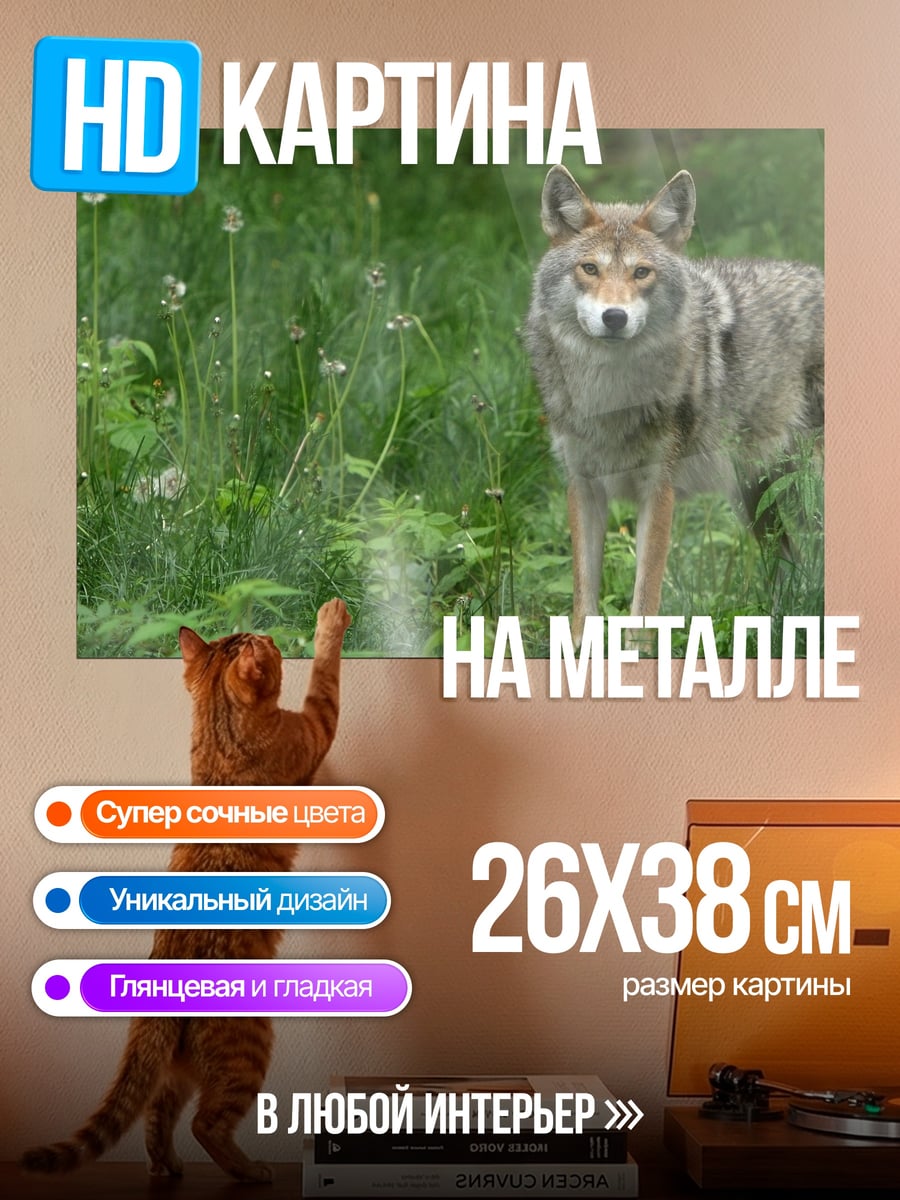 Картина на металле волк в траве