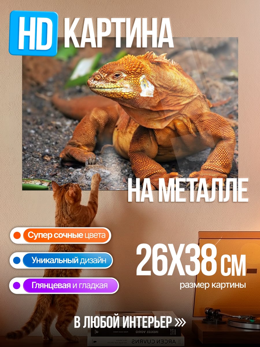 Картина на металле Оранжевая игуана на земле