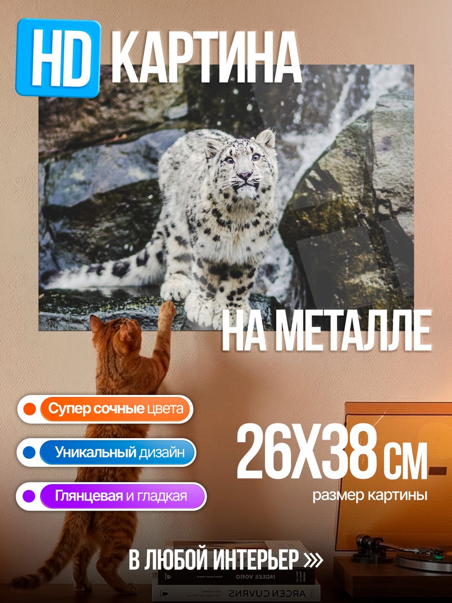 Картина на металле Снежный барс у водопада