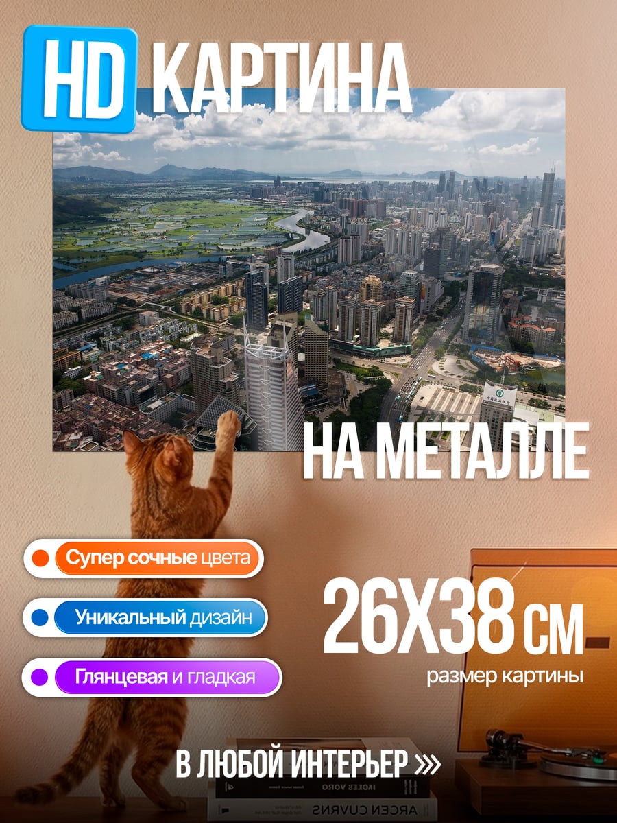 Картина на металле Городской пейзаж с высоты