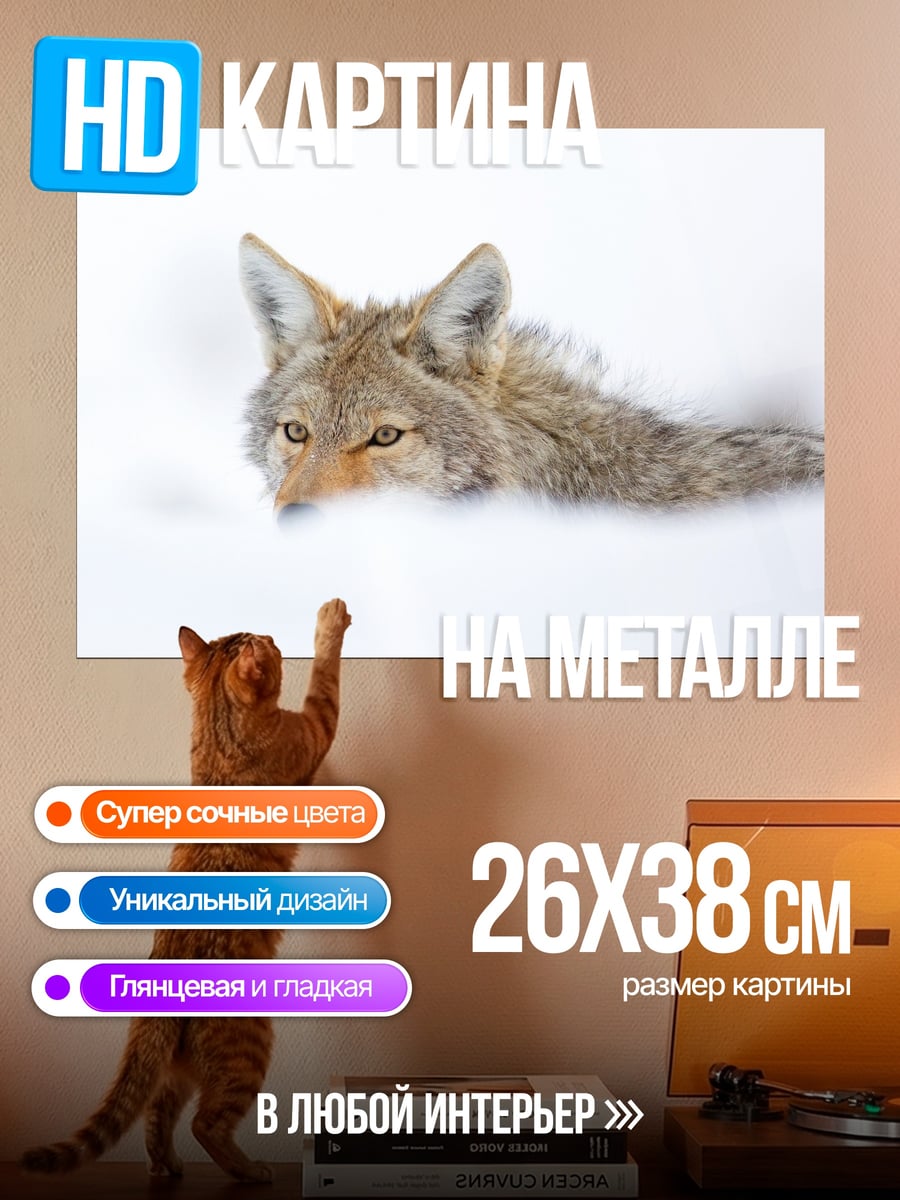 Картина на металле Кот в снегу