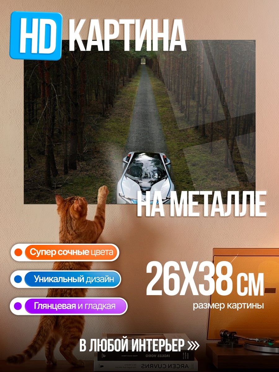 Картина на металле автомобиль в лесу