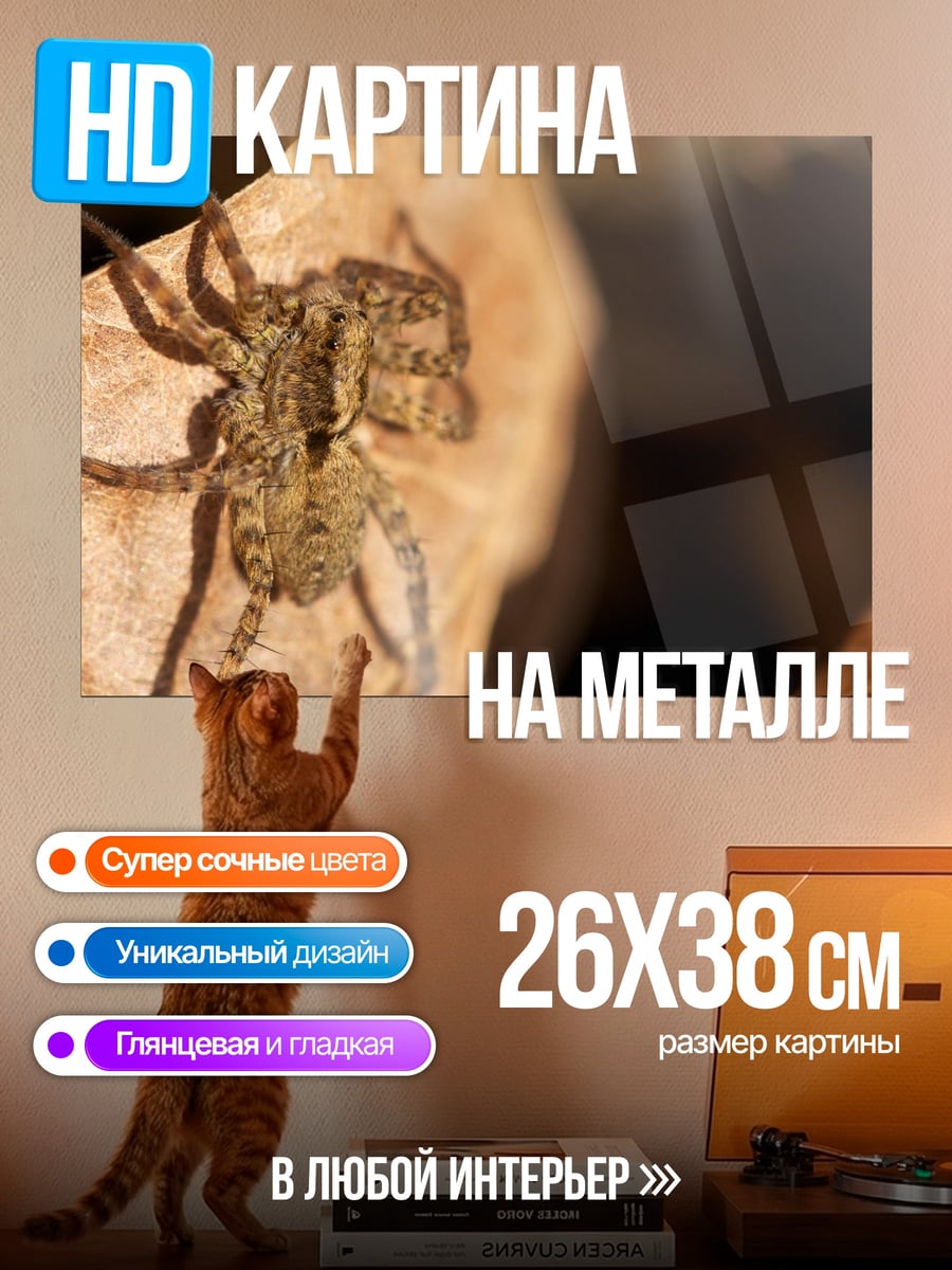 Картина на металле Паук на листе