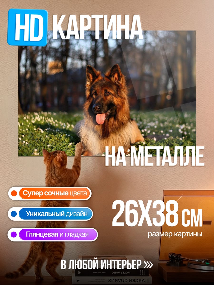 Картина на металле Немецкая овчарка