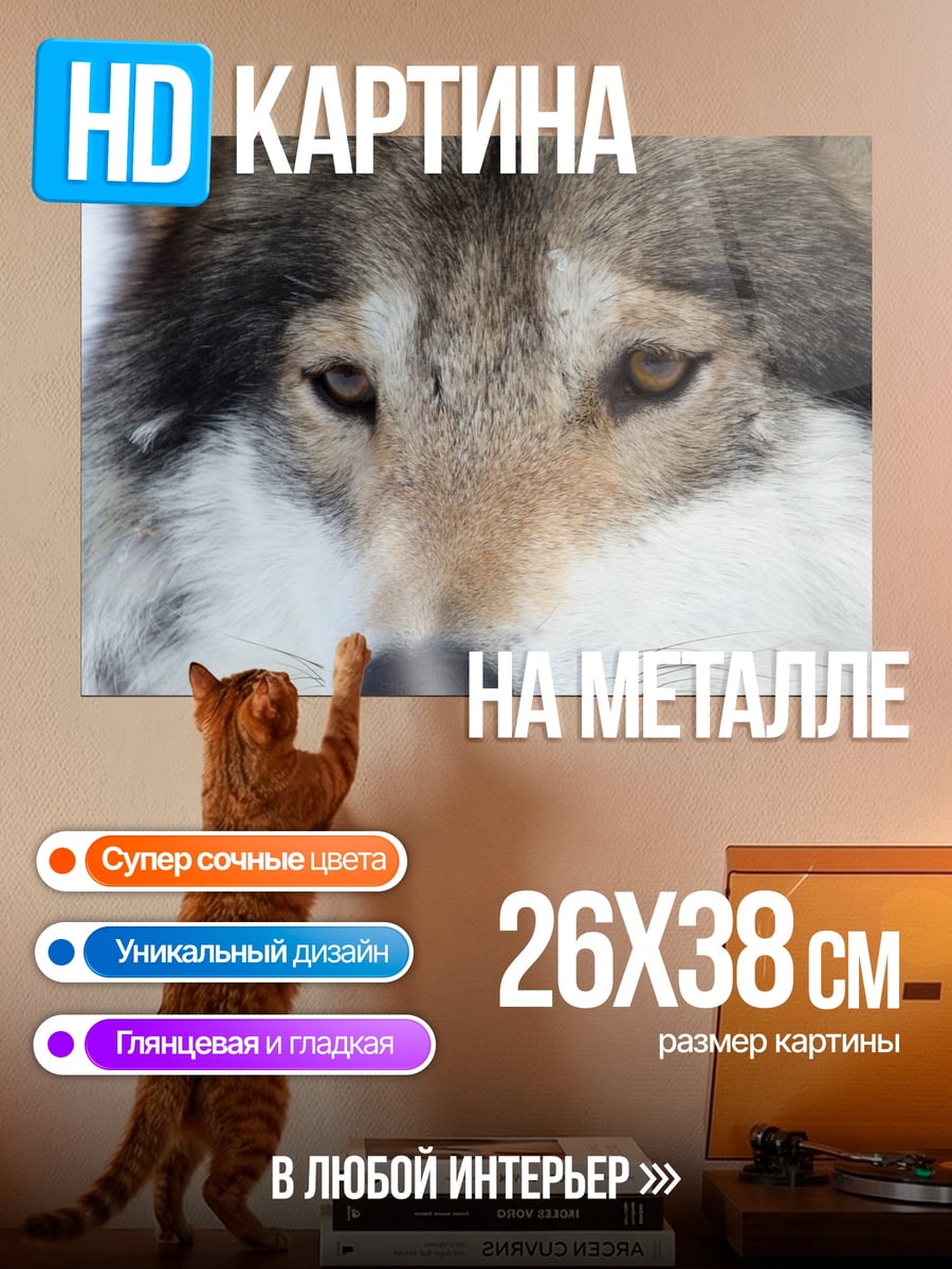 Картина на металле Портрет волка