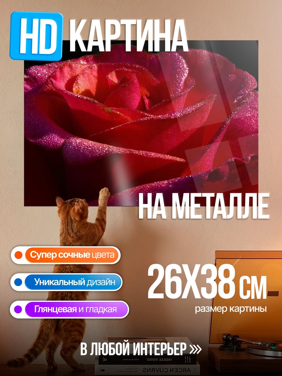 Картина на металле Красная роза