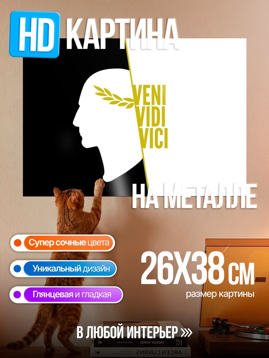 Картина на металле Veni Vidi Vici