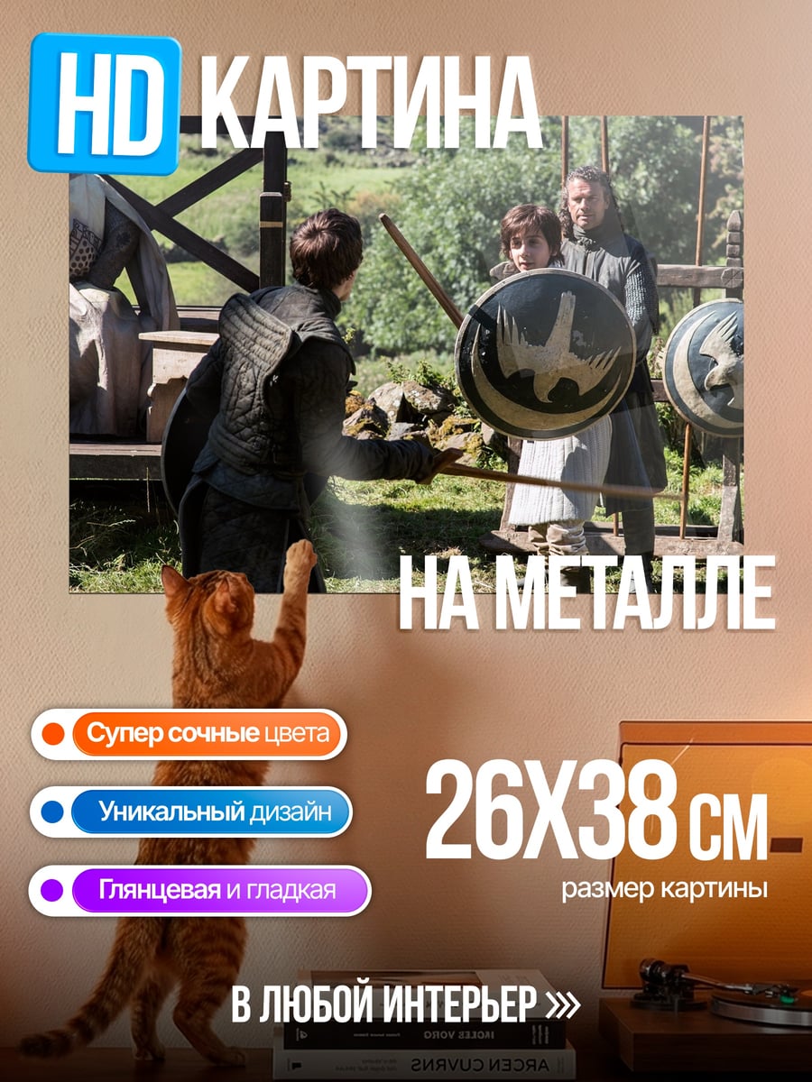 Картина на металле Тренировка с мечом