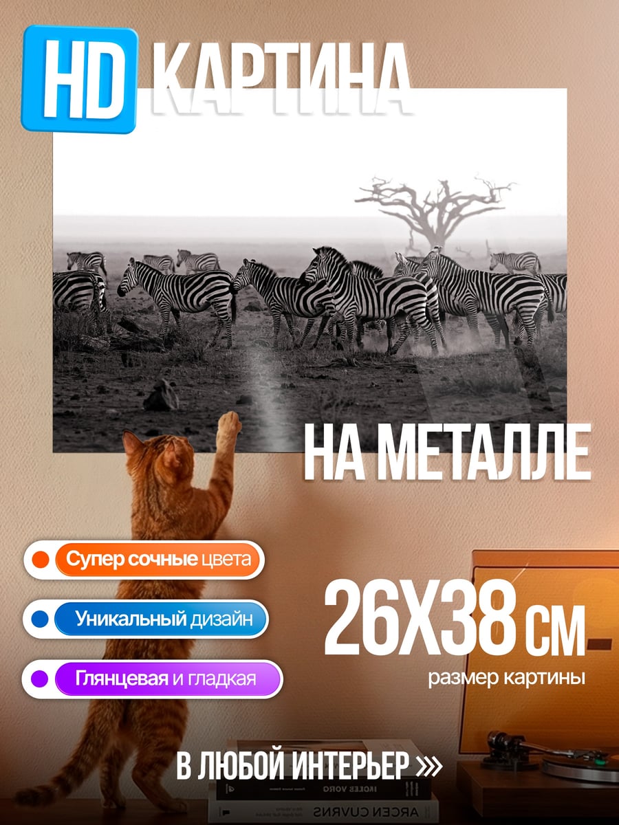 Картина на металле Стадо зебр на саванне