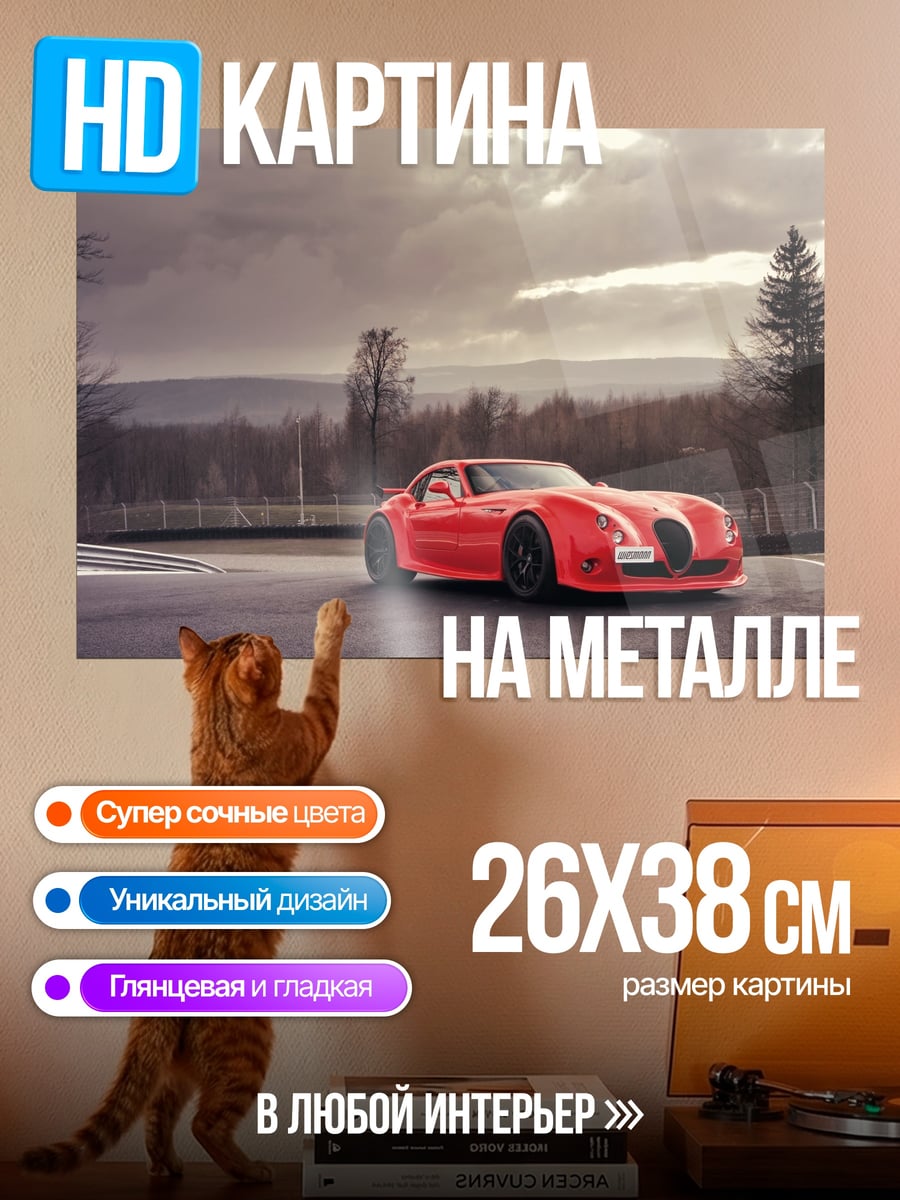 Картина на металле Красный спорткар