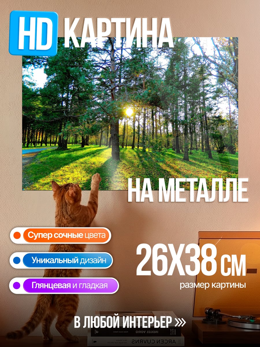 Картина на металле Лесной закат