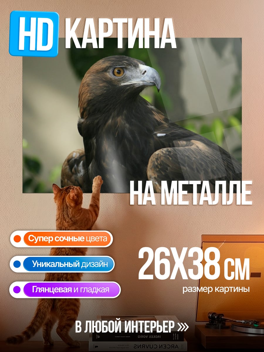 Картина на металле Орёл
