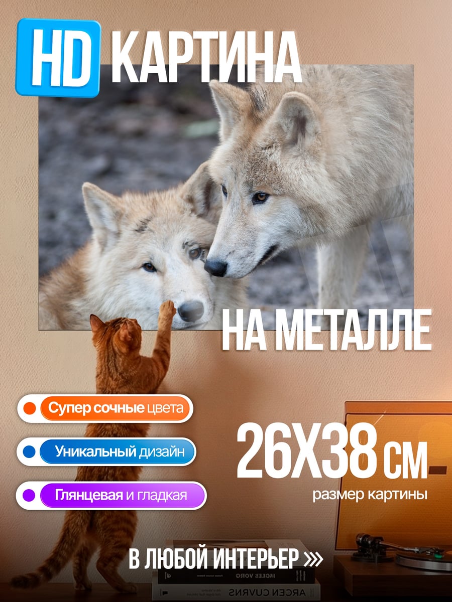 Картина на металле пара волков