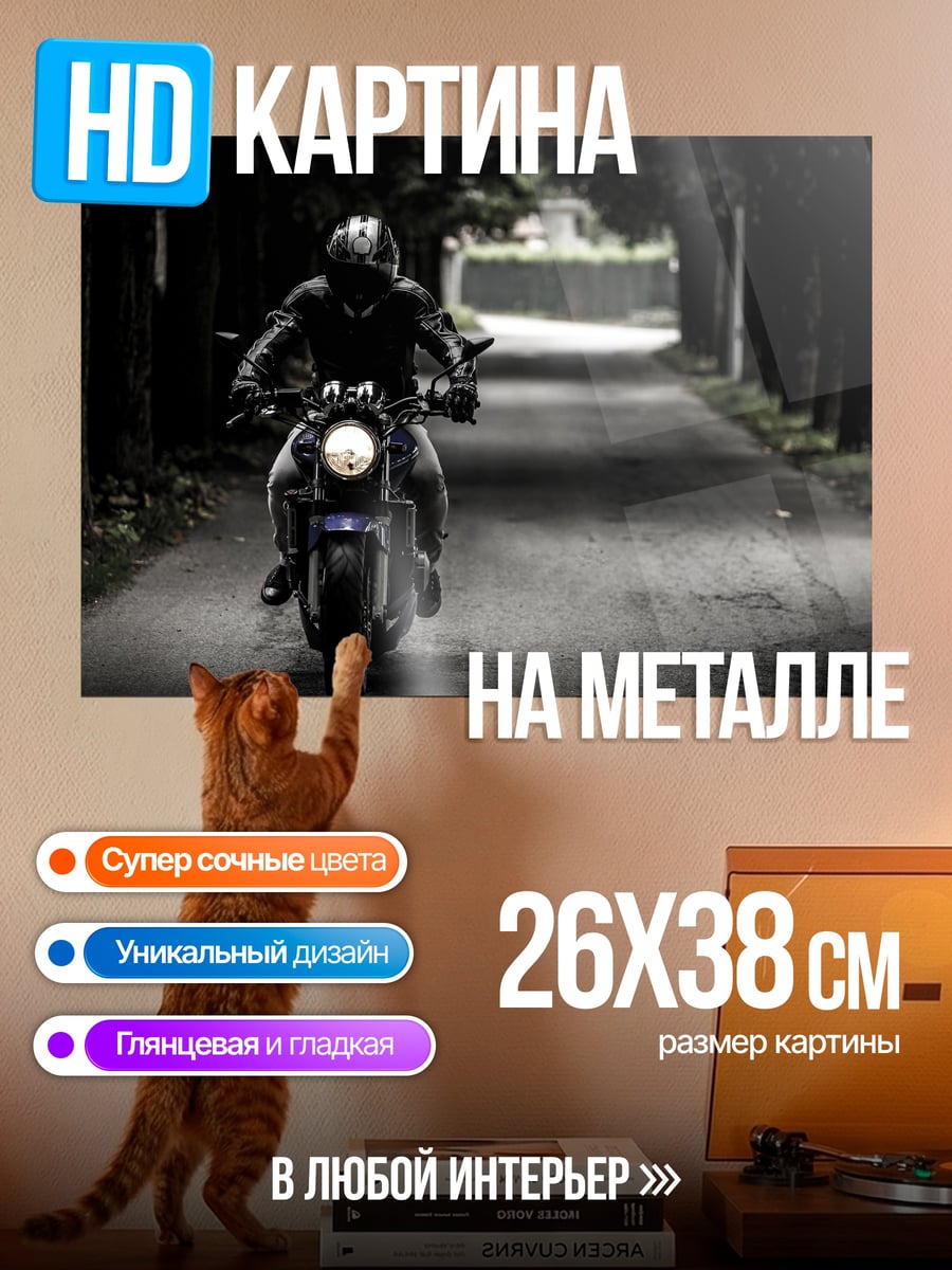 Картина на металле Мотоциклист в лесу