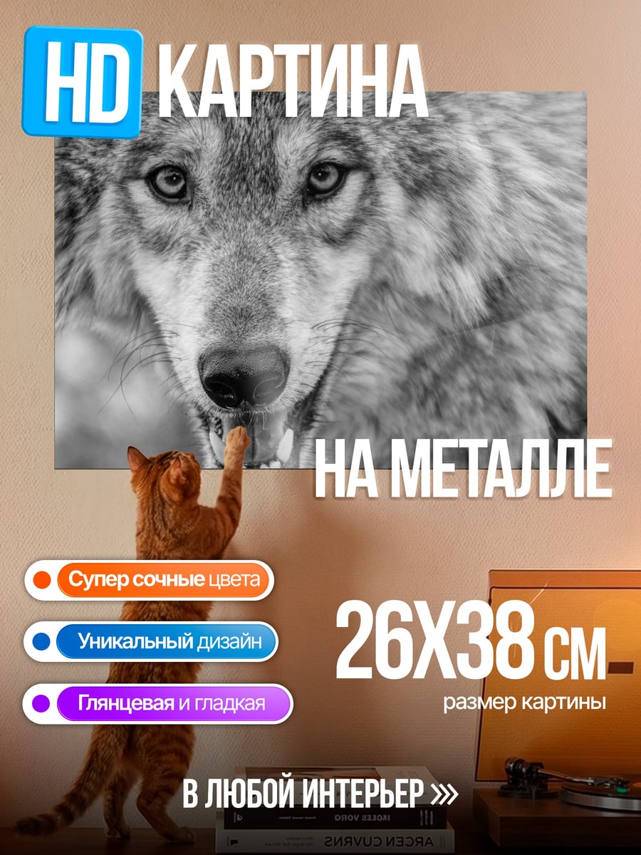 Картина на металле Волк смотрит в глаза