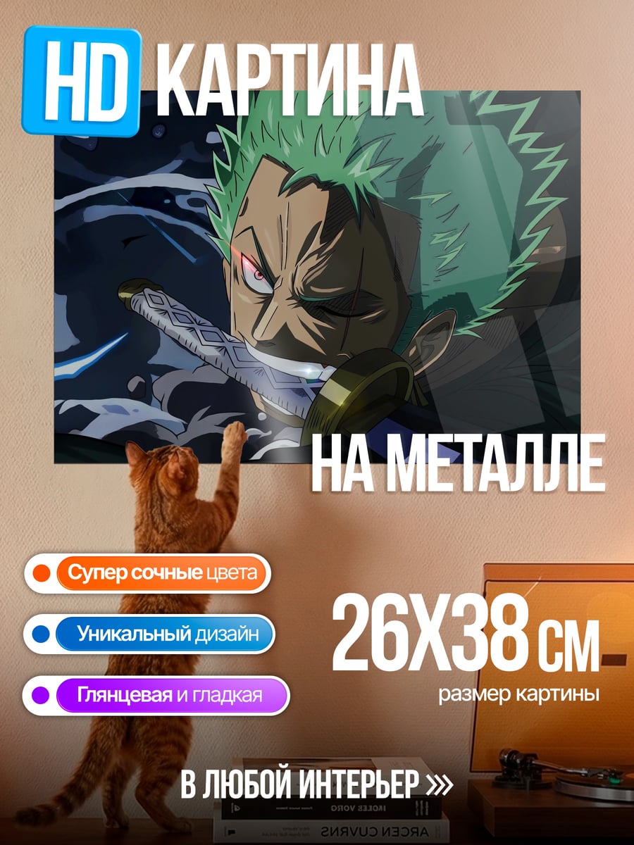 Картина на металле Зоро Один удар