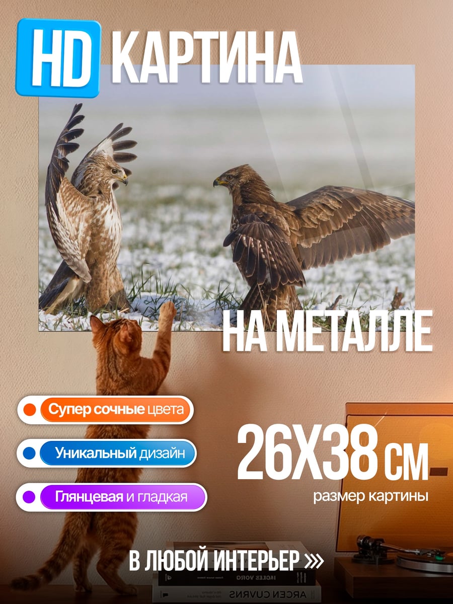 Картина на металле Битва хищных птиц