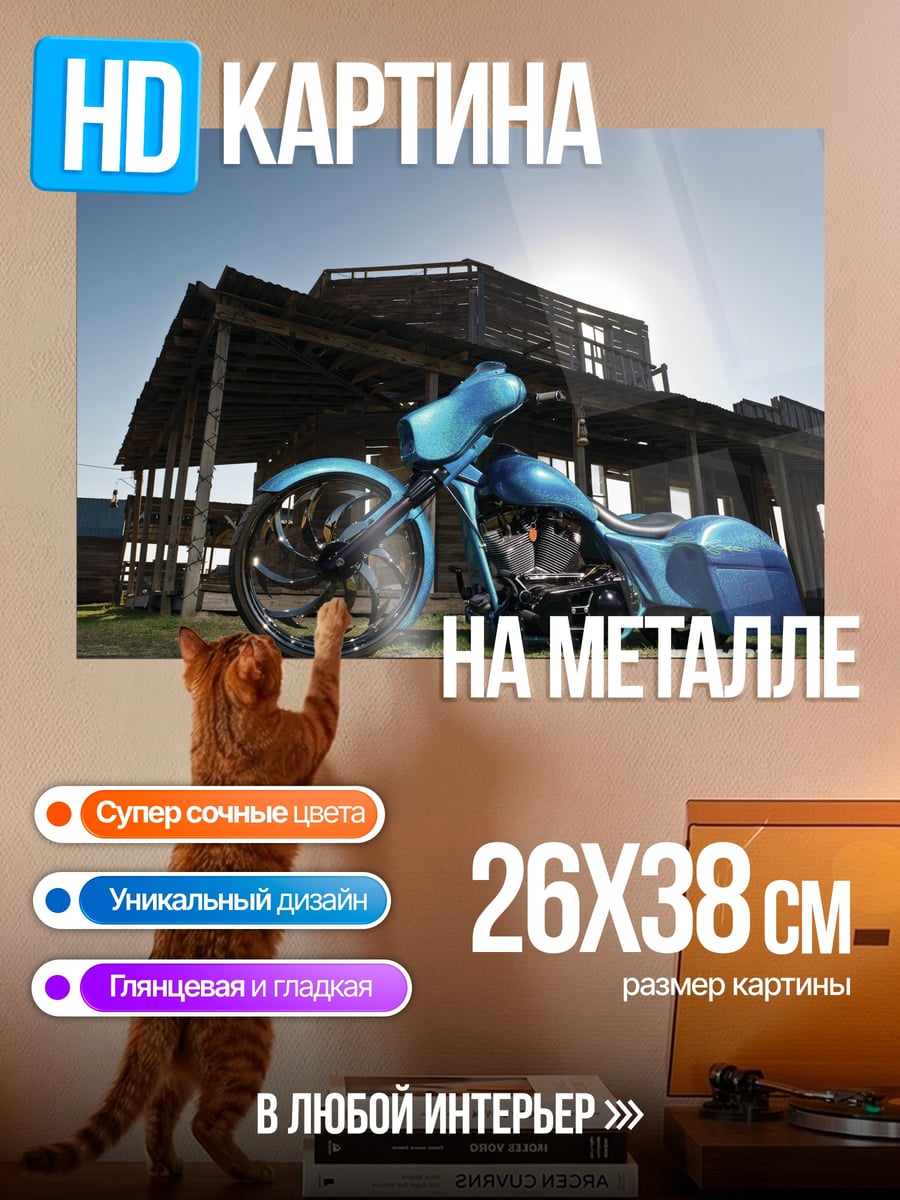 Картина на металле Кастомный байк