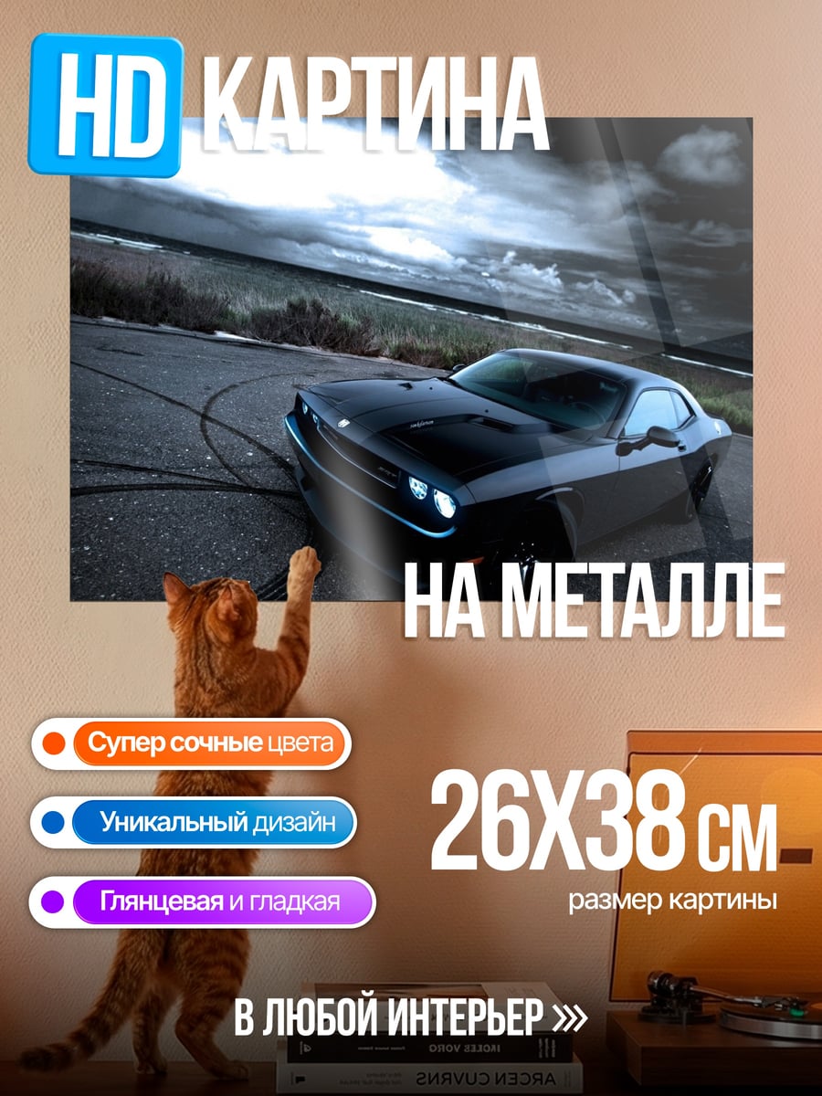 Картина на металле Черный маслкар