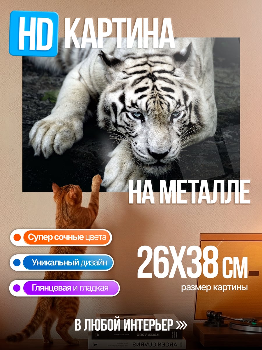 Картина на металле Белый тигр взгляд