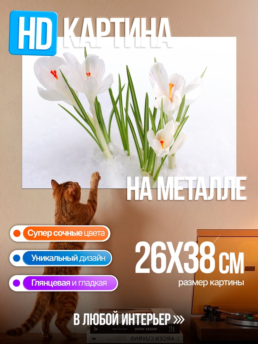 Картина на металле крокусы на снегу