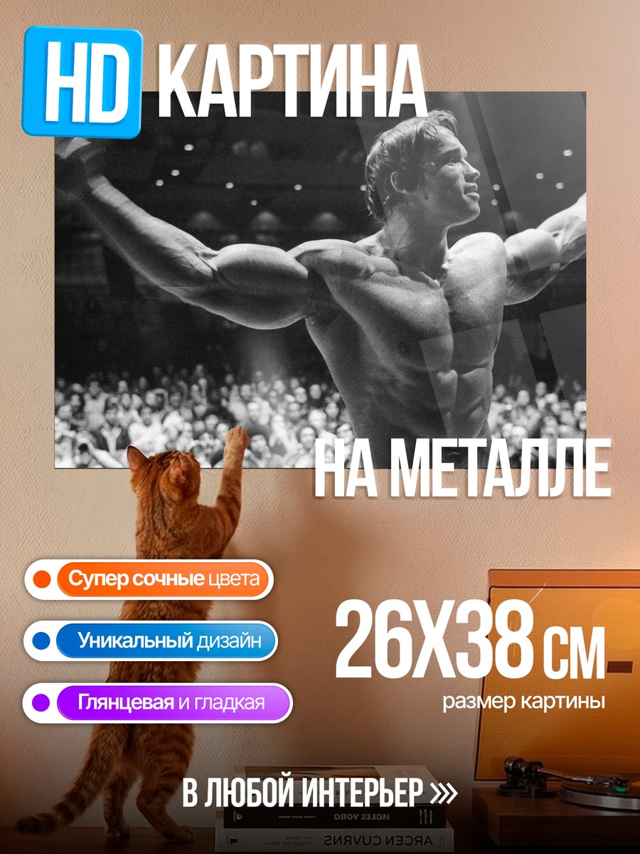 Картина на металле Арнольд Шварценеггер бодибилдер