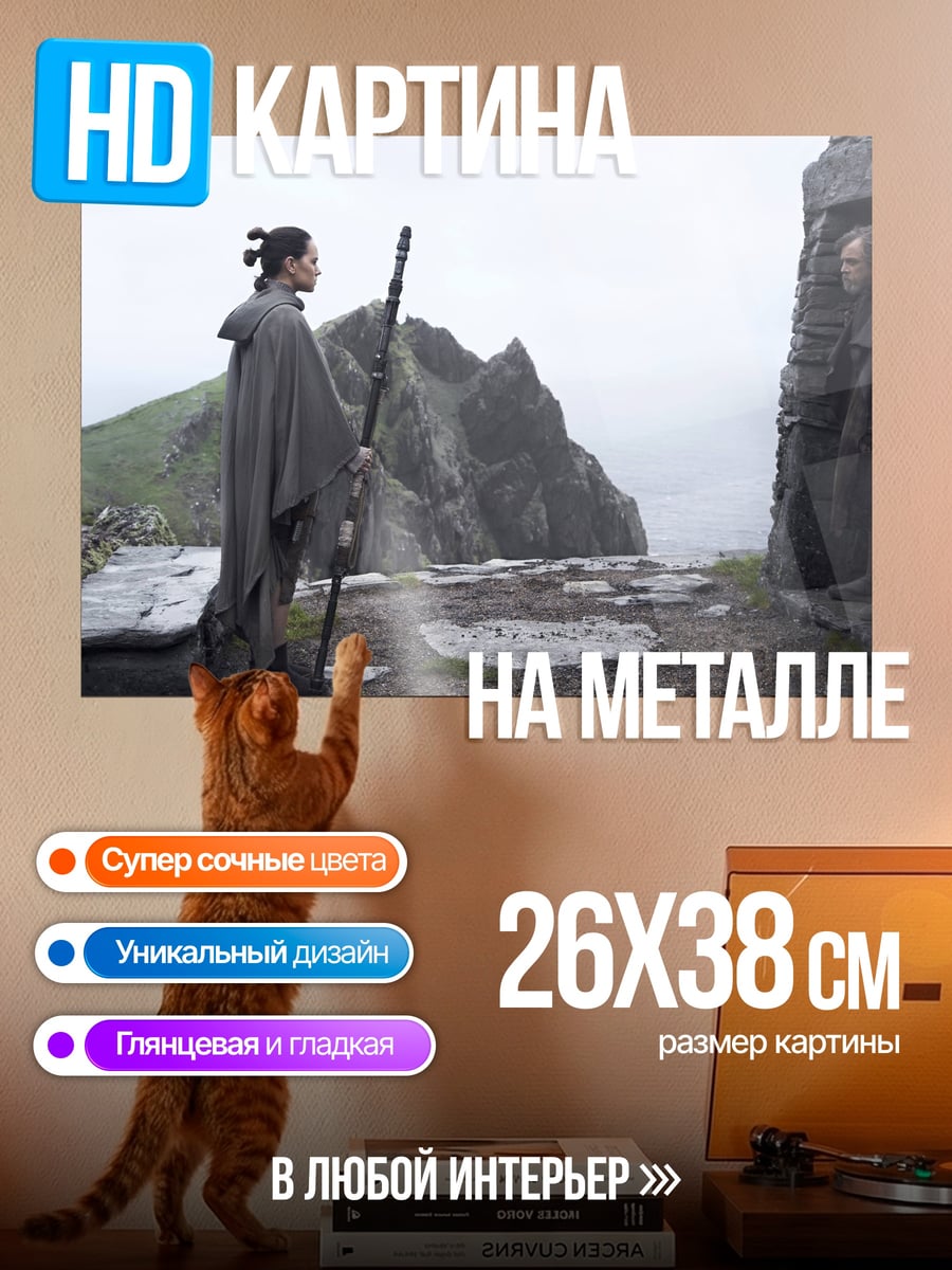 Картина на металле Рей и Лендо