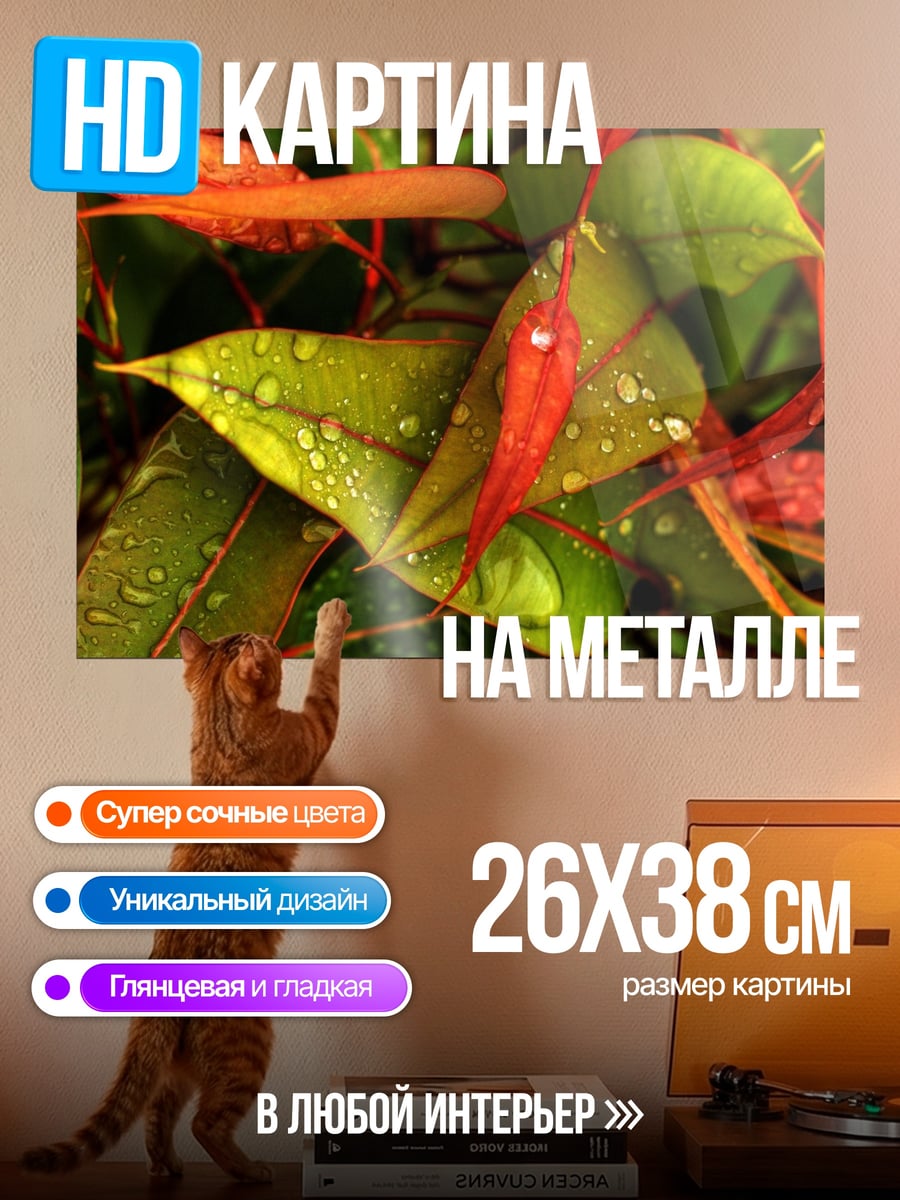 Картина на металле Капли на листьях