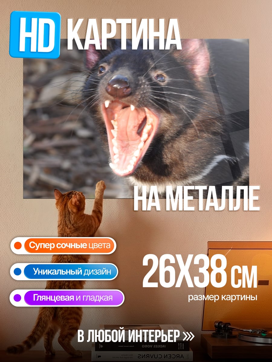 Картина на металле Тасманийский дьявол