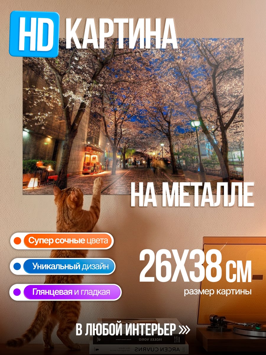 Картина на металле Цветущая сакура ночью