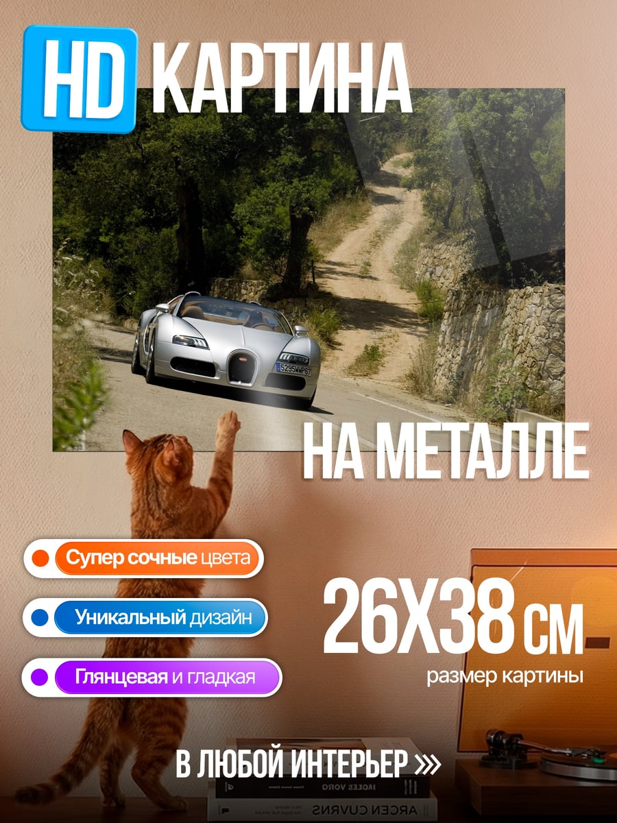 Картина на металле Серебряный спорткар
