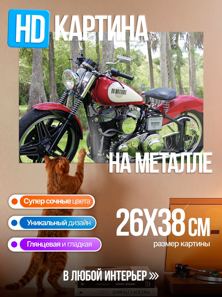 Картина на металле Красный мотоцикл