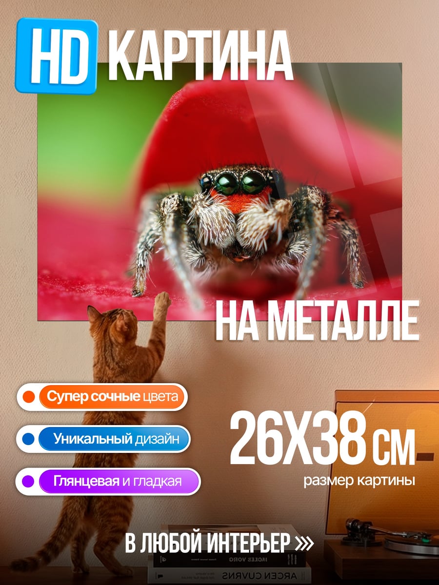 Картина на металле паук на лепестке