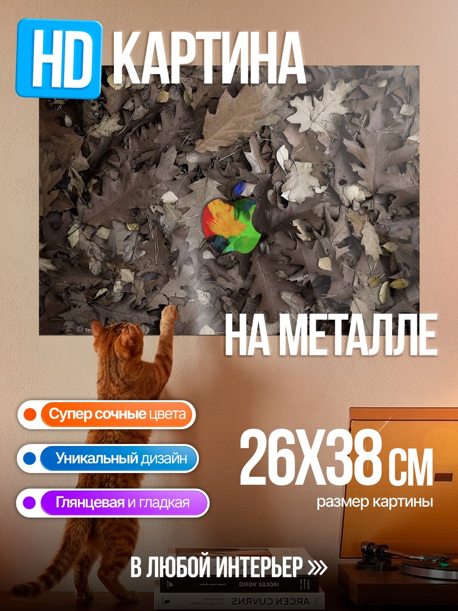 Картина на металле цветной лист