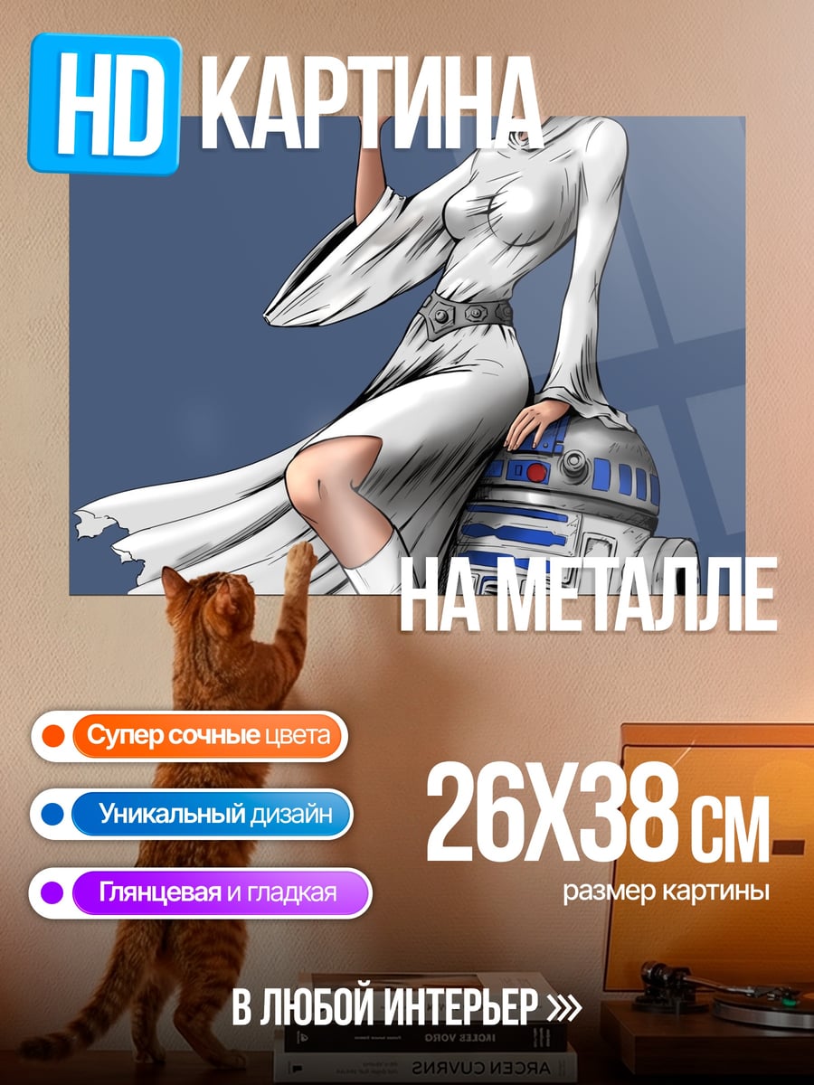 Картина на металле Принцесса Лея и R2-D2