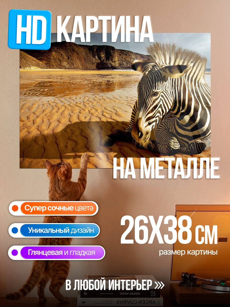 Картина на металле зебра на пляже