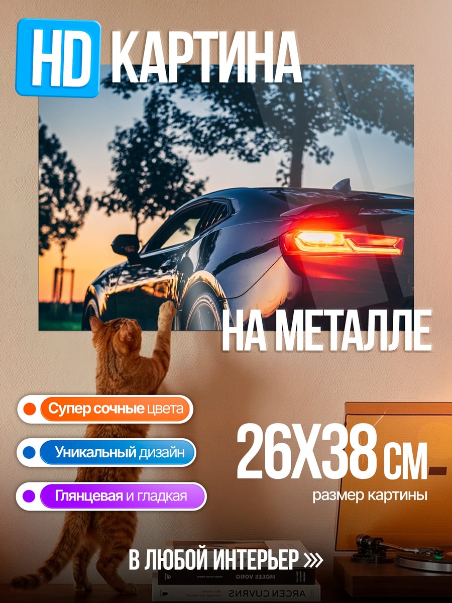 Картина на металле спортивные машины закат