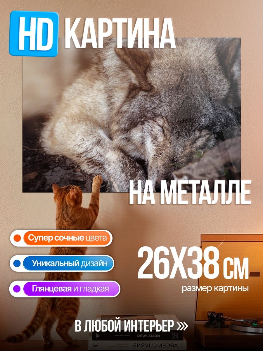 Картина на металле спящий волчонок