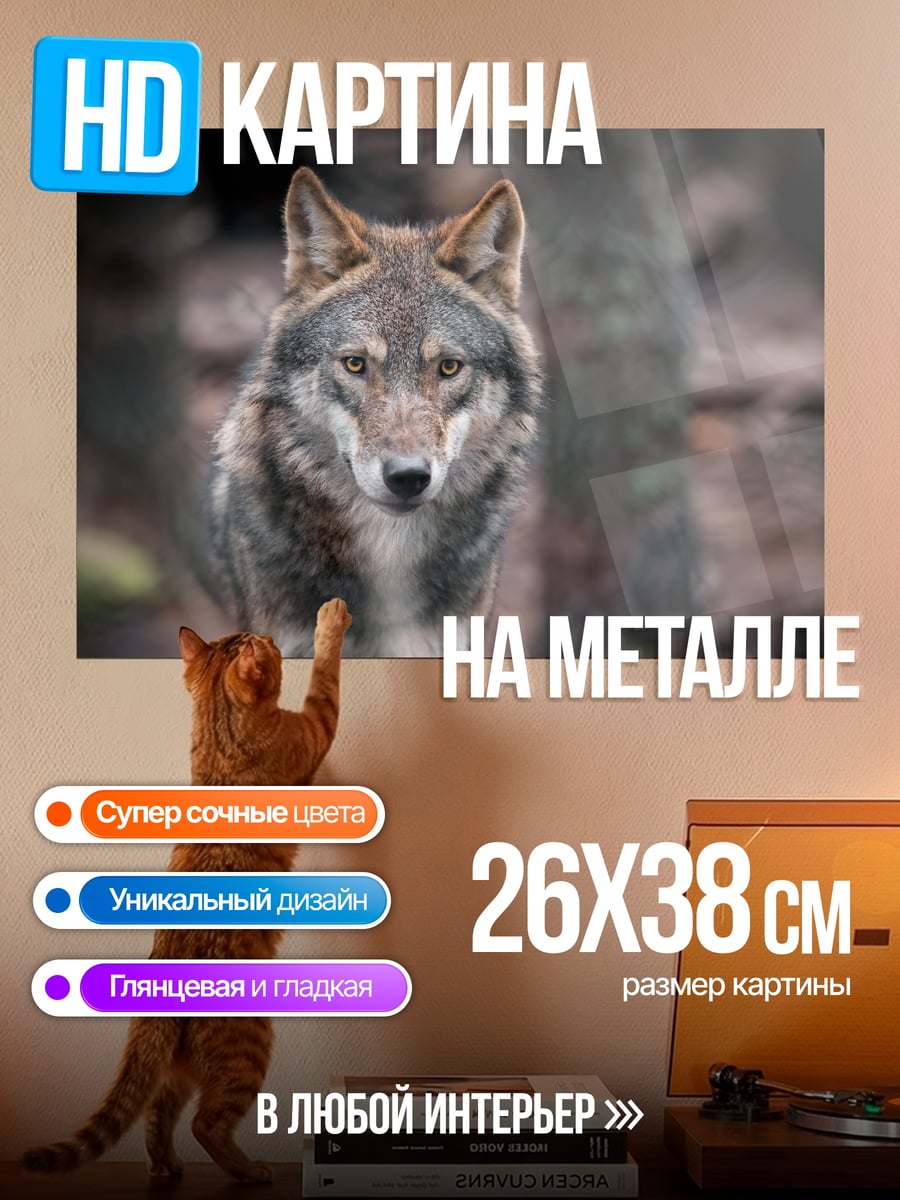 Картина на металле портрет волка