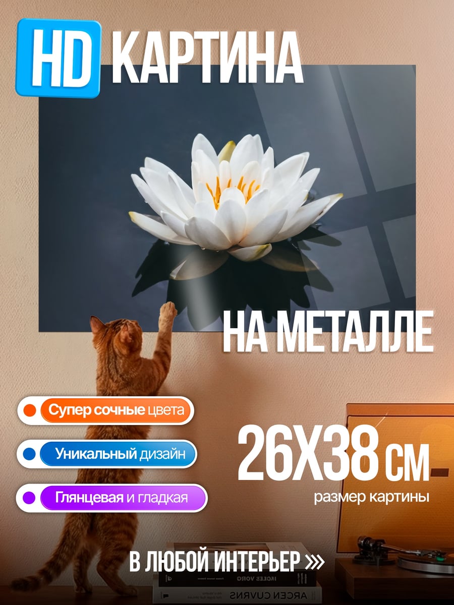 Картина на металле Белая лилия на воде