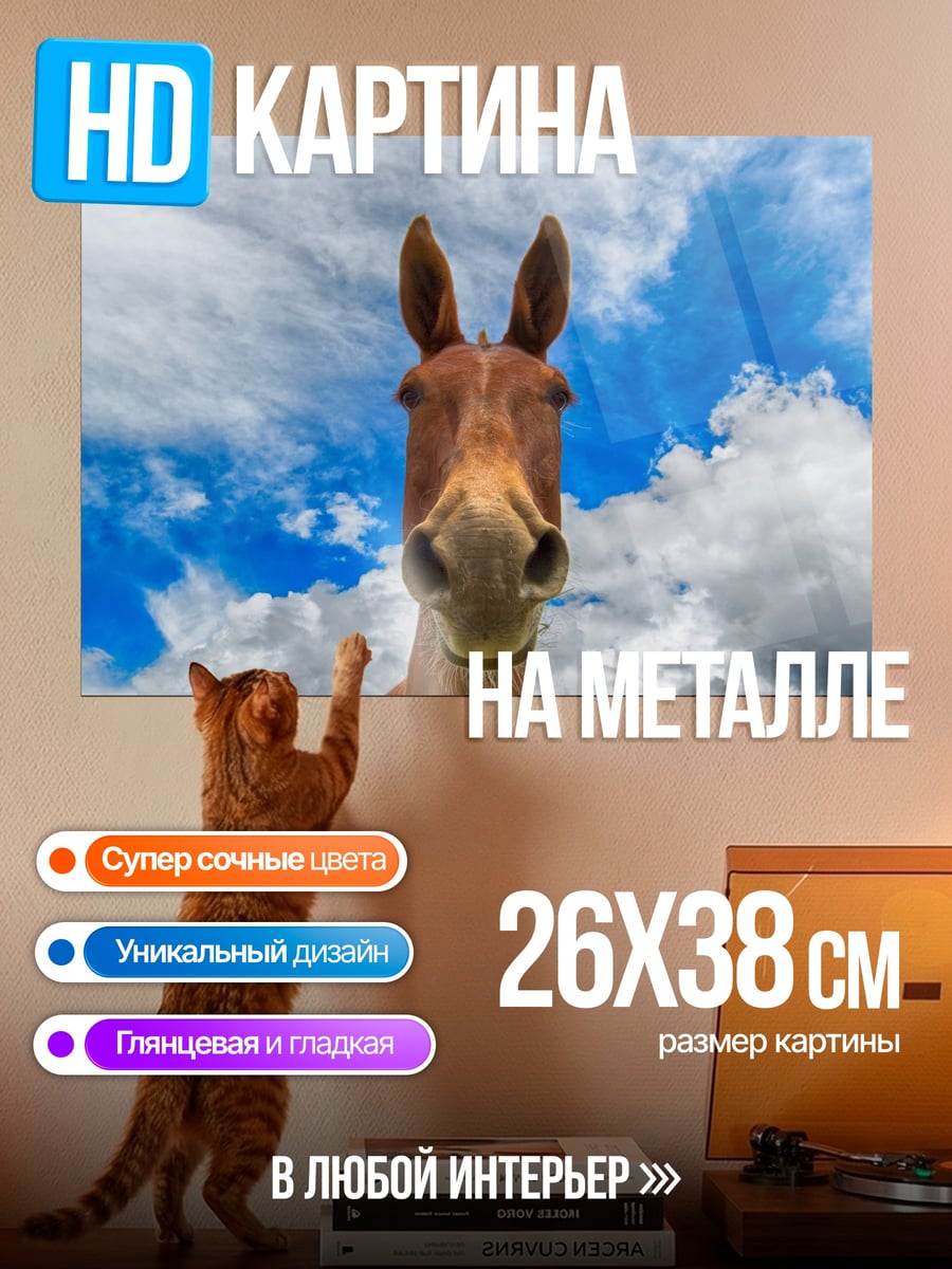 Картина на металле Лошадь на фоне неба