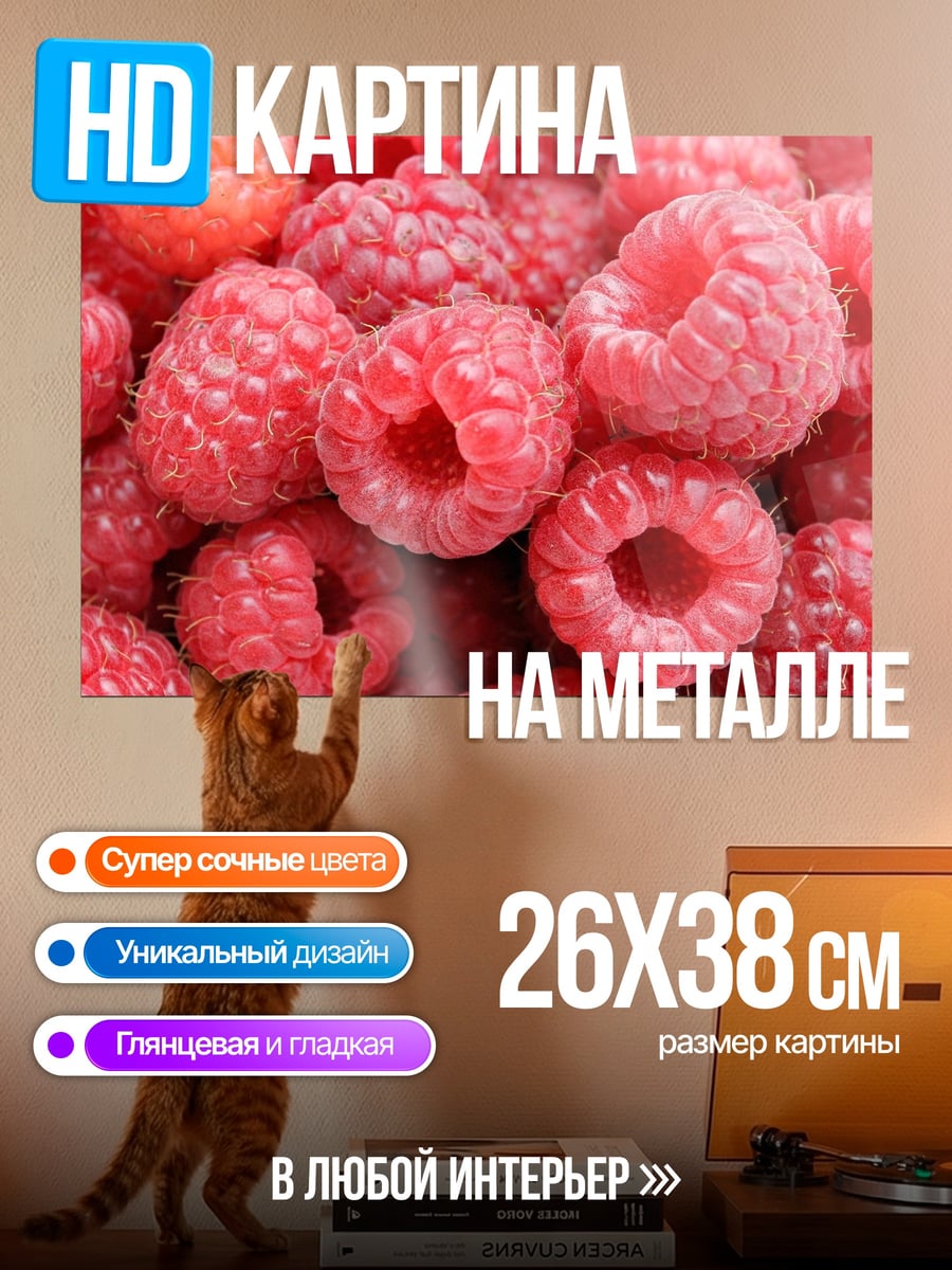 Картина на металле Спелая малина крупным планом