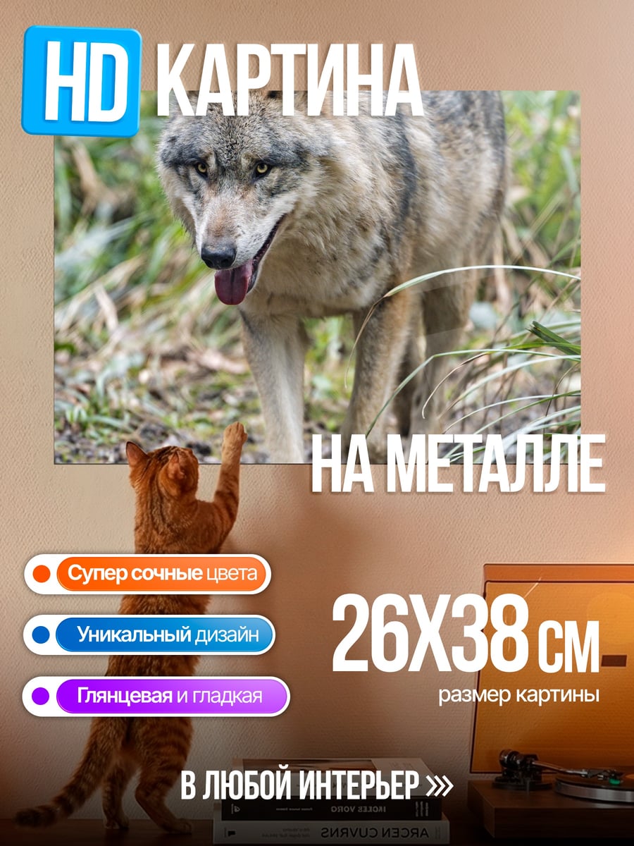 Картина на металле Идущий волк