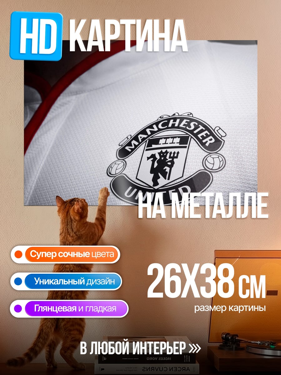 Картина на металле Логотип Манчестер Юнайтед