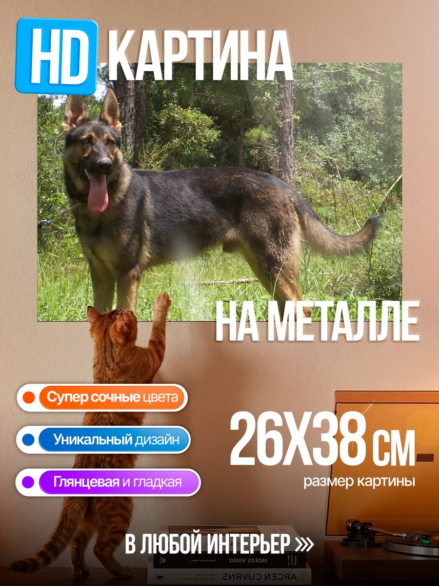 Картина на металле Немецкая овчарка